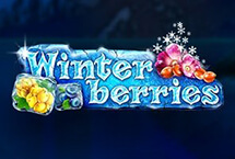 WINTER BERRIES